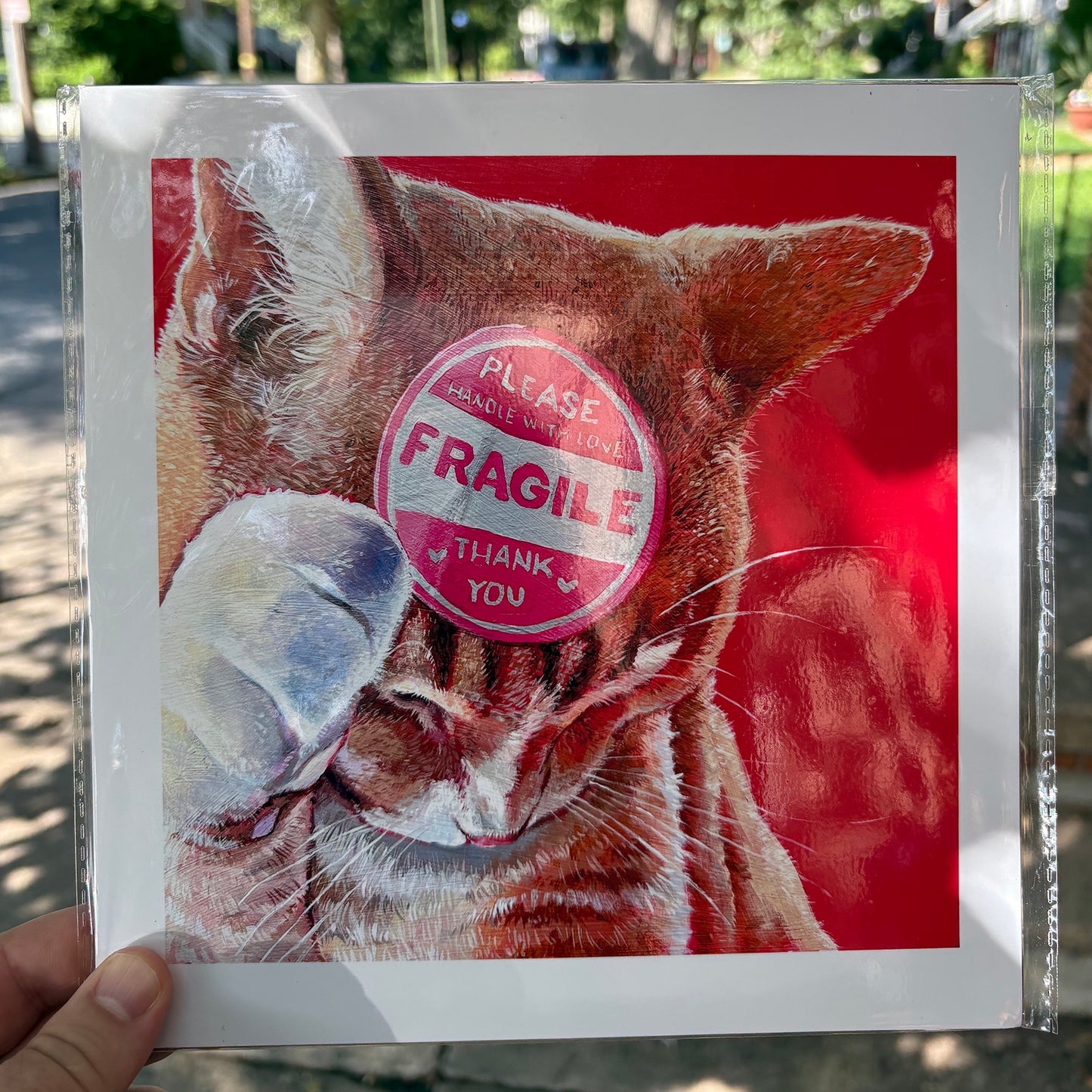 Fragile Cat | 8.5 x 8.5 Print