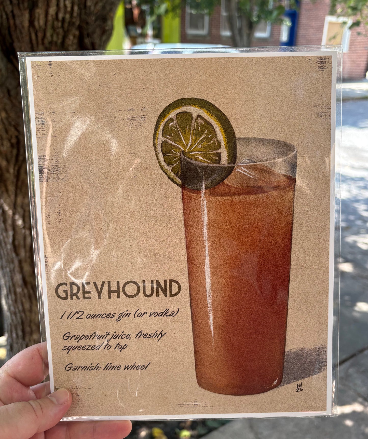 Greyhound | 8x10 Print