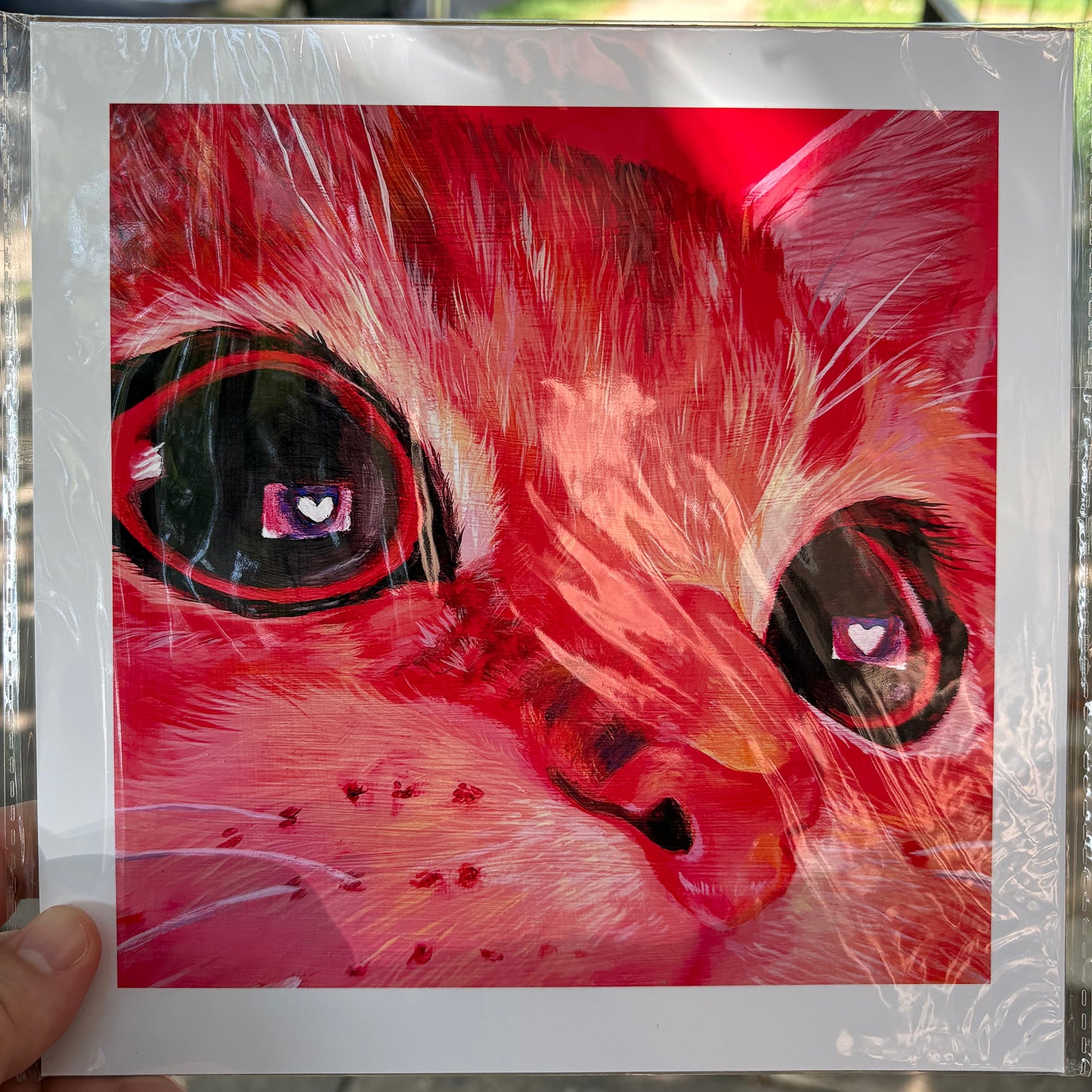 Cat Close Up | 8.5 x 8.5 Print