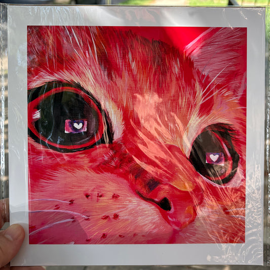 Cat Close Up | 8.5 x 8.5 Print