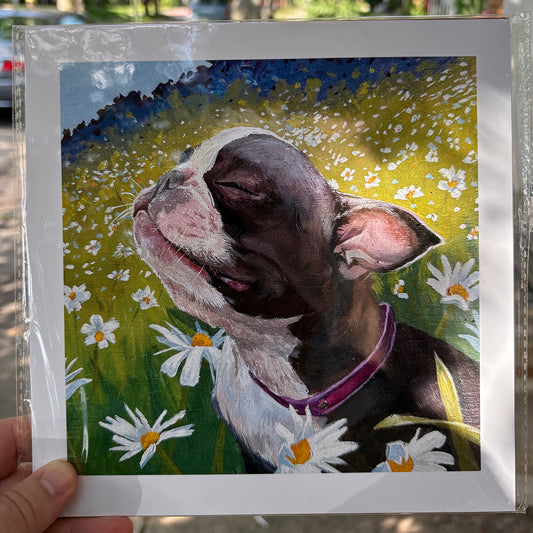 Dog Smelling the Daisies | 8.5 x 8.5 Print
