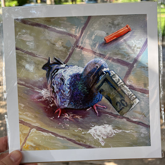 Pigeon with Cash | 8.5 x 8.5 Print